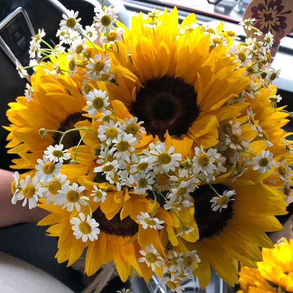 Meet your Posher, Elly - Picture 1 of 1